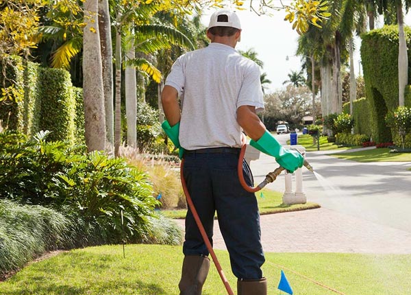 About Ridgeland SC Pest Control Pros